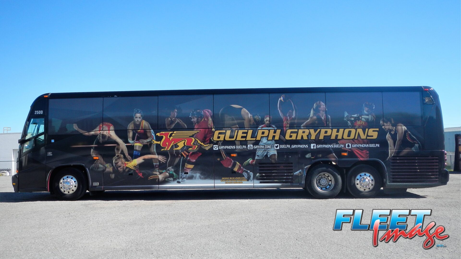 GUELPH GRYPHONS decal sticker on a truck