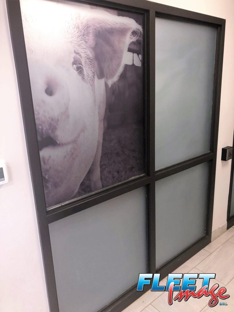 Frosted window film of a pig